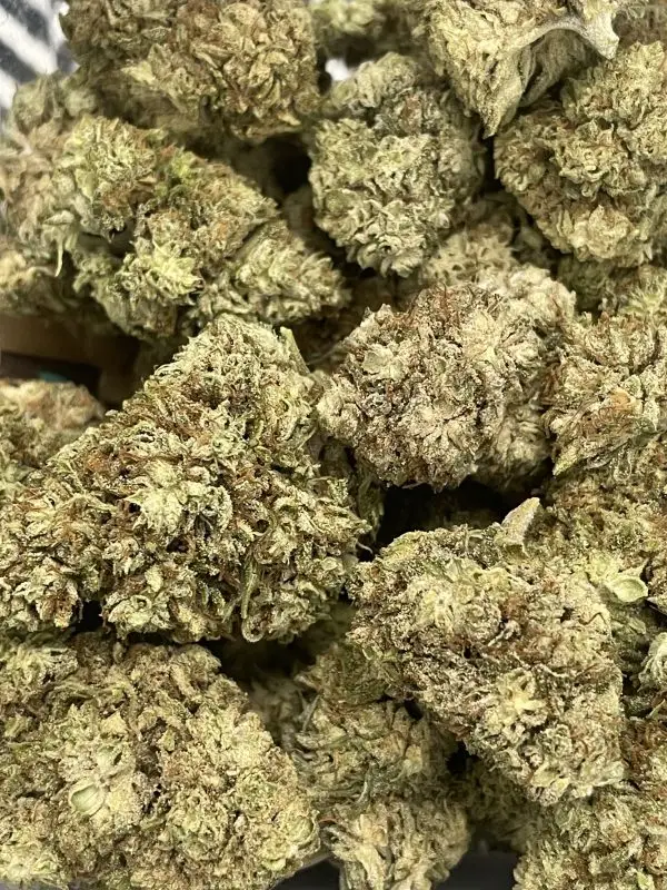 CBD/CBG White Widow Flower