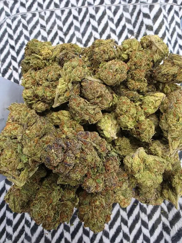 THCA Gelato#41 (Sativa-Hybrid)