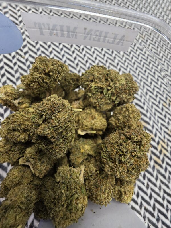Alien Mint